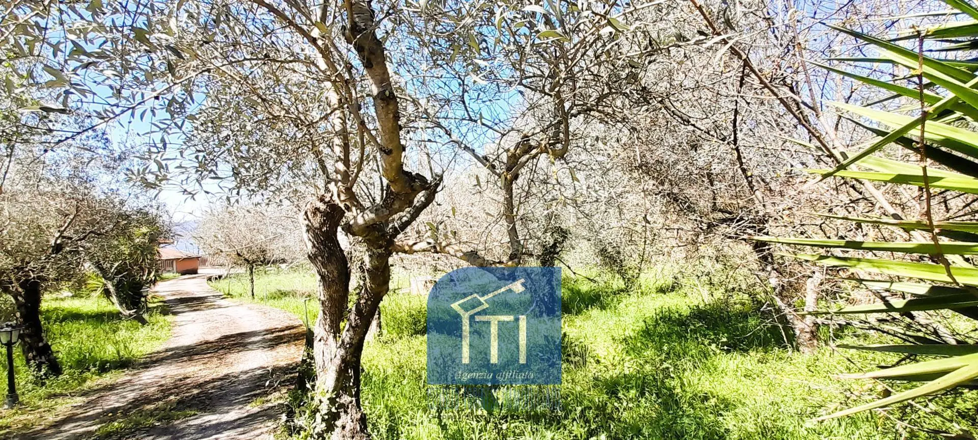 Immagine per Villa in vendita a Cervaro Via Noceromana 