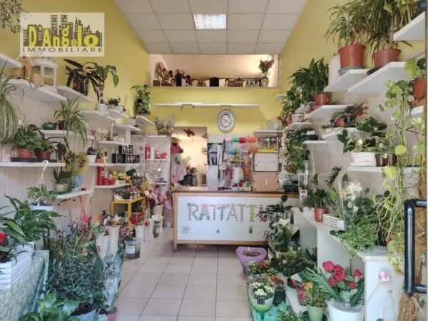 Locale Commerciale via Borgo Gabribaldi, Castignano