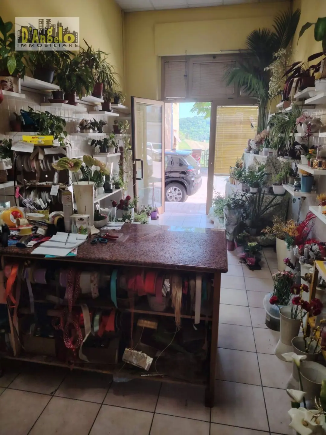 Immagine per Locale Commerciale in vendita a Castignano via borgo gabribaldi 