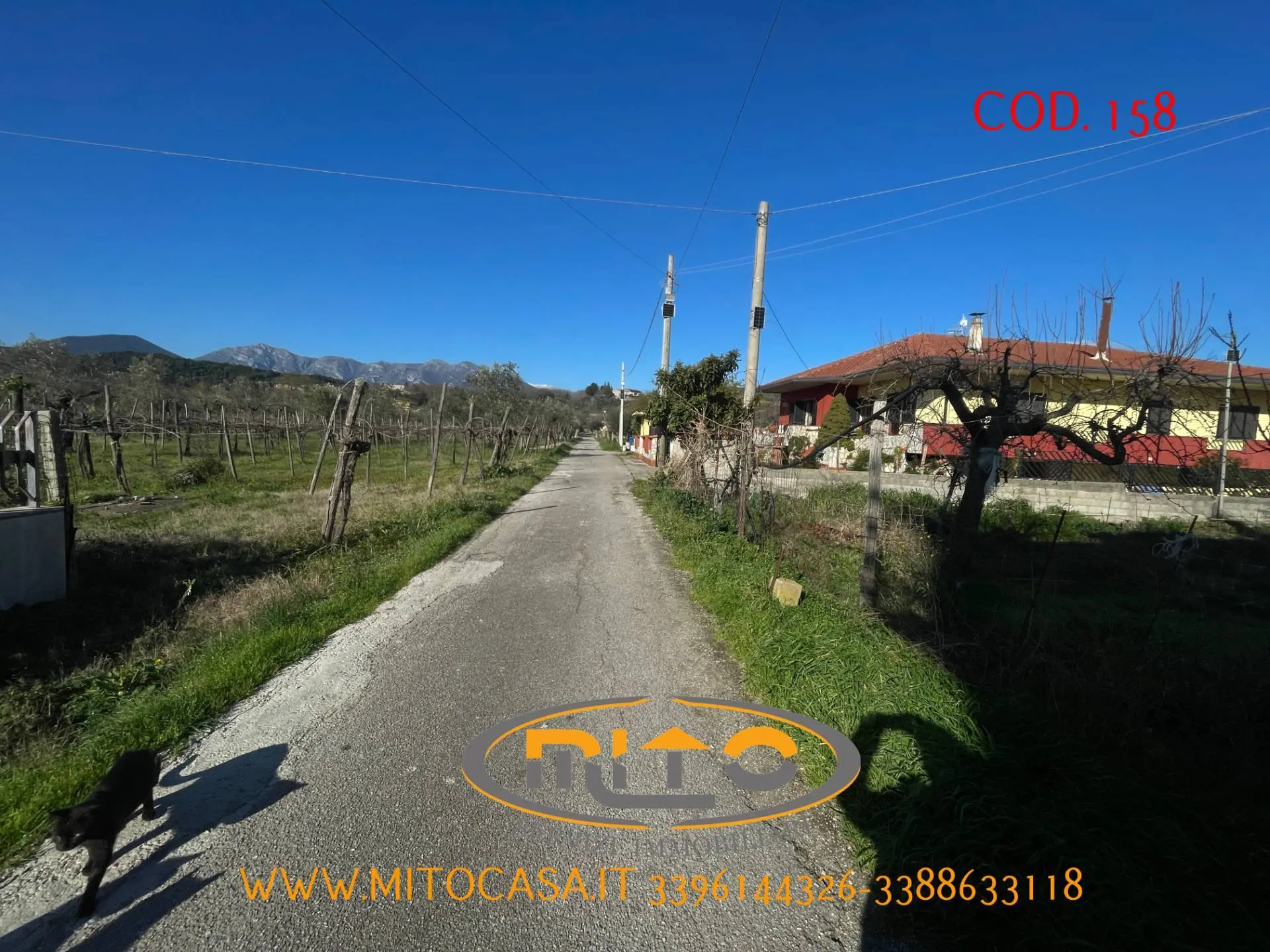 Immagine per Casa indipendente in vendita a Telese Terme SOLOPACA VIA SANT'ANIELLO 