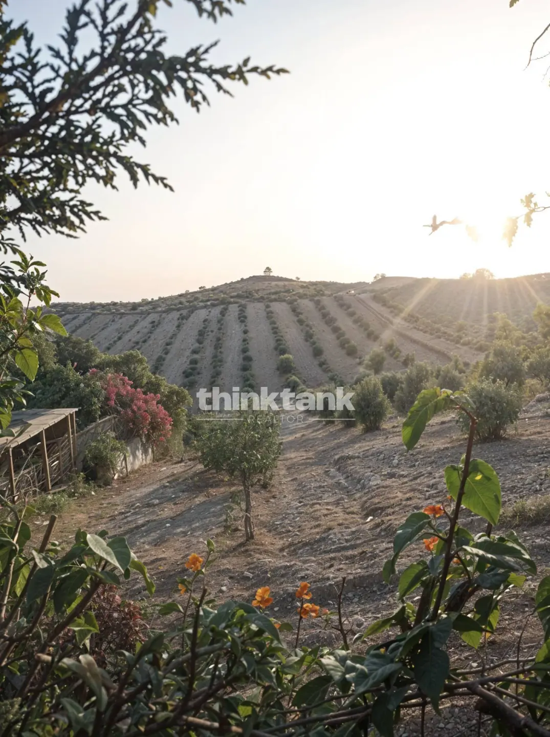 Immagine per Villa in vendita a Cattolica Eraclea Eraclea Minoa snc