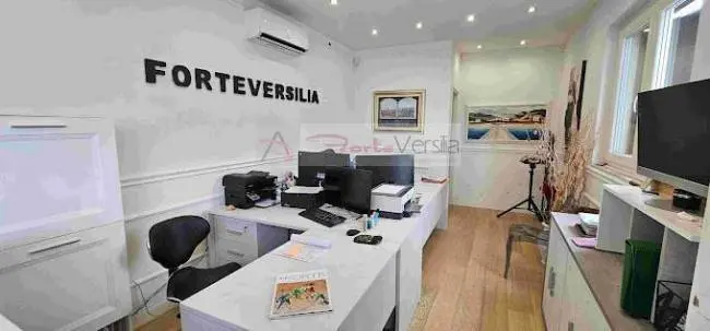 Immagine per Terreno Edificabile in vendita a Forte dei Marmi  