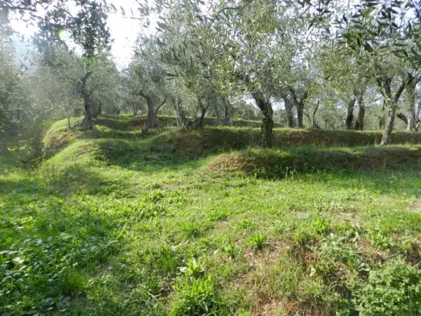 Casale via Di Villa Gaia 508, Lucca