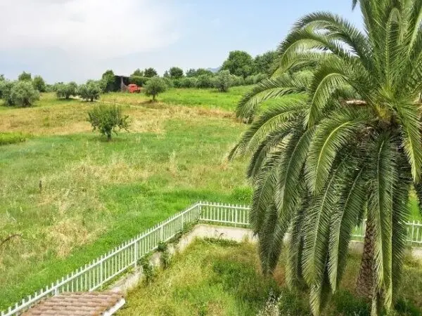 Villa via Prima Collina, Ascoli Piceno