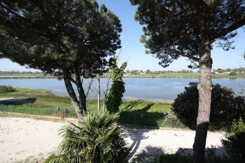 Immagine per Appartamento in vendita a Comacchio via Carracci 24