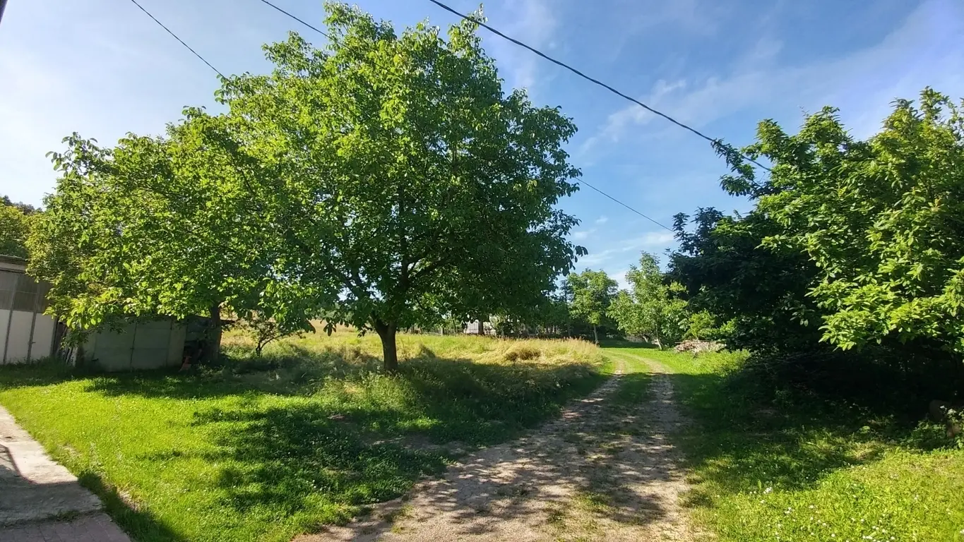 Immagine per Rustico in vendita a Montese via Pradalara 168