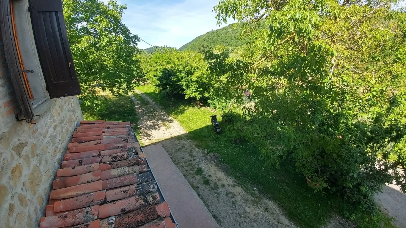 Immagine per Rustico in vendita a Montese via Pradalara 168
