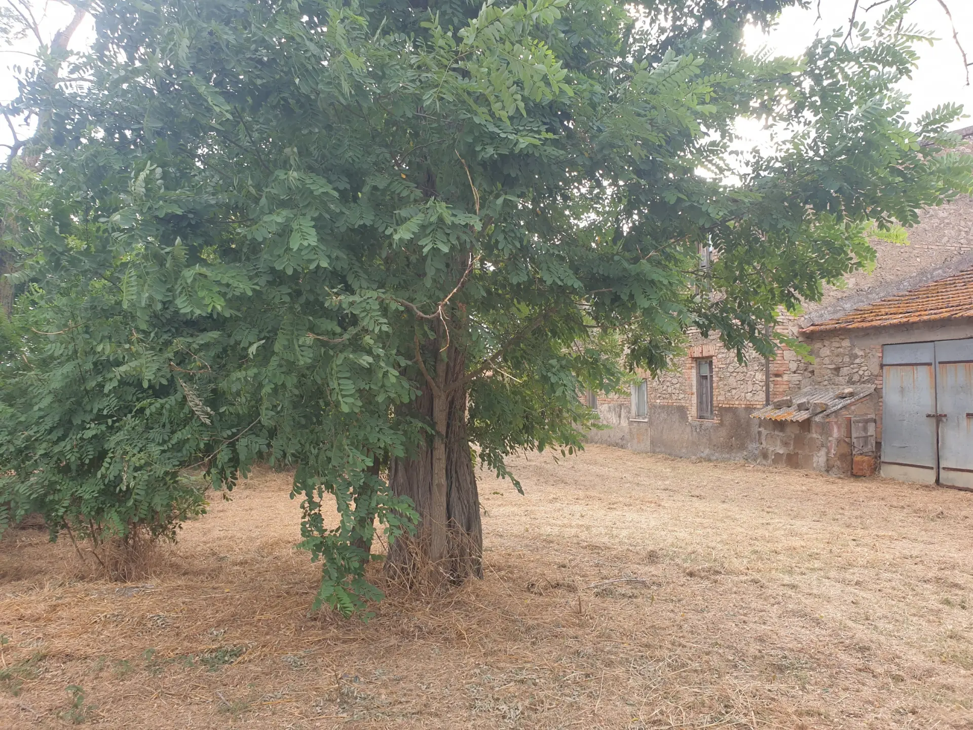 Immagine per Porzione di casa in vendita a Guardea via Madonna Del Porto