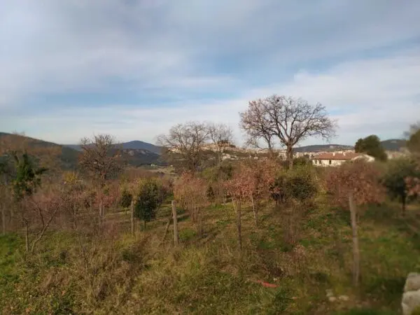 Villa strada Di Campo Sardella, Amelia