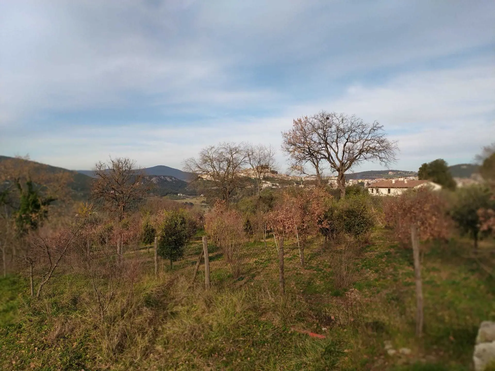 Immagine per Villa in vendita a Amelia strada Di Campo Sardella
