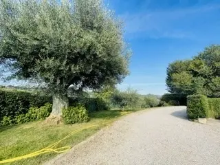 Rustico via Monte Cerro, Offagna