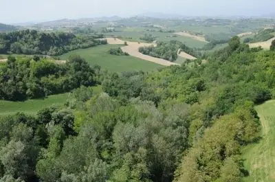 Azienda Agricola via Periferia, Petritoli