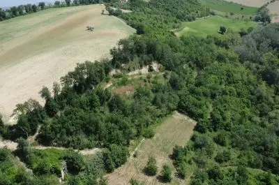 Azienda Agricola via Periferia, Petritoli