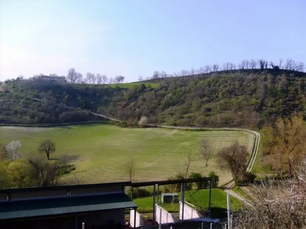 Azienda Agricola via Periferia, Petritoli