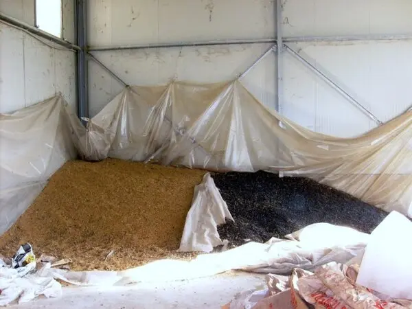 Azienda Agricola via Periferia, Petritoli