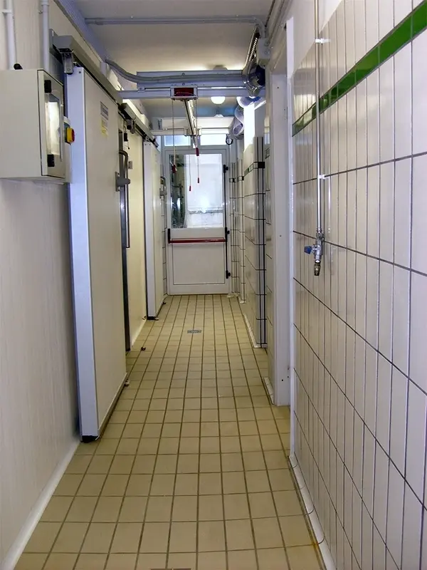 Immagine per Azienda agricola in vendita a Petritoli via Periferia