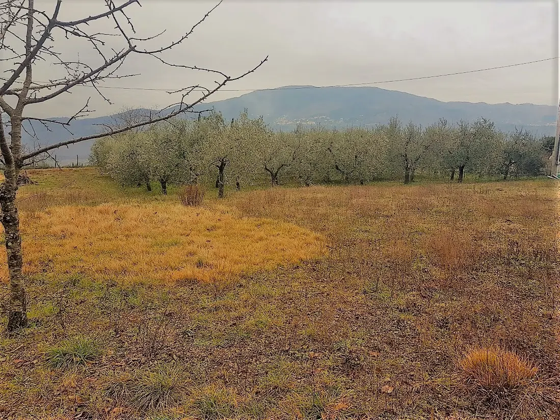 Immagine per Rustico in vendita a Lucca via Del Castellaccio