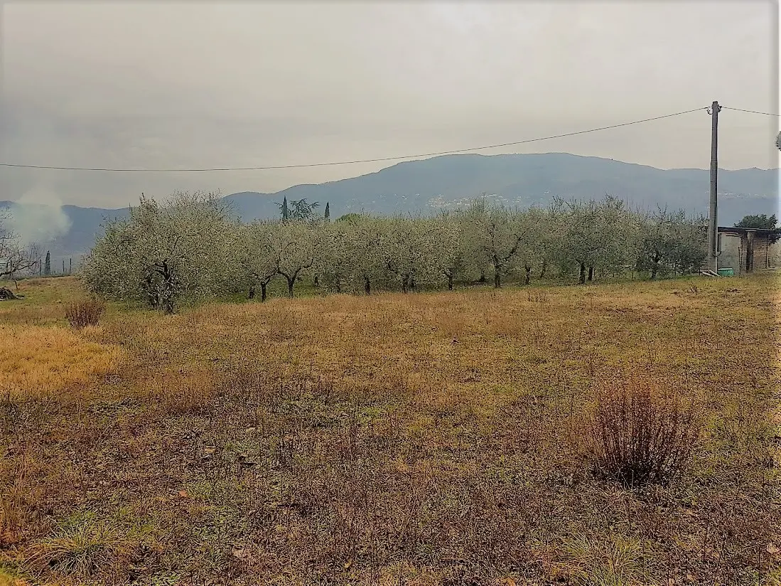Immagine per Rustico in vendita a Lucca via Del Castellaccio