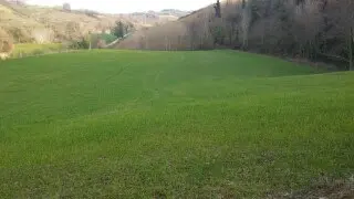 Terreno via Cannella, Mondavio