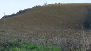 Terreno via Cannella, Mondavio