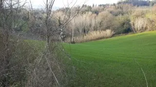 Terreno via Cannella, Mondavio