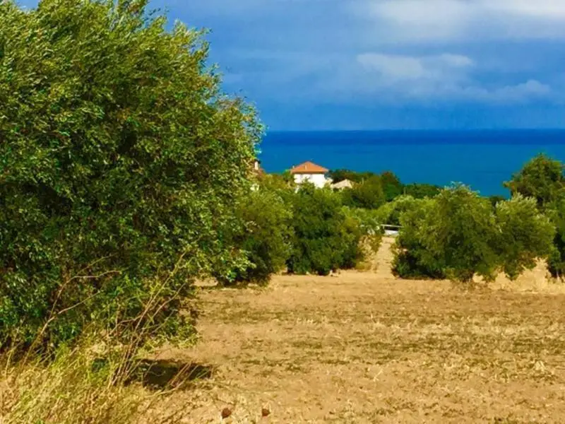 Immagine per Casale in vendita a Cupra Marittima via Contrada San Michele