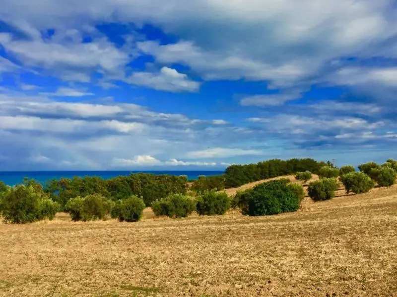 Immagine per Casale in vendita a Cupra Marittima via Contrada San Michele