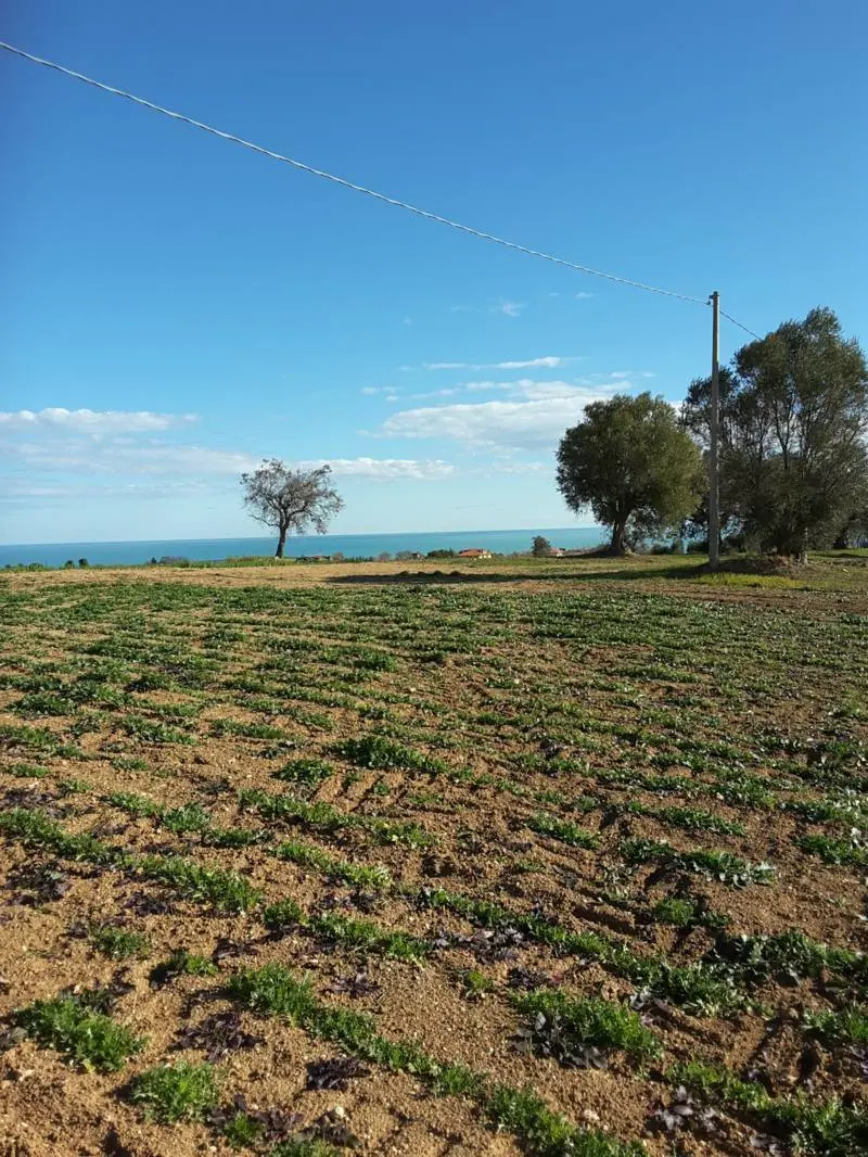 Immagine per Casale in vendita a Cupra Marittima via Contrada San Michele