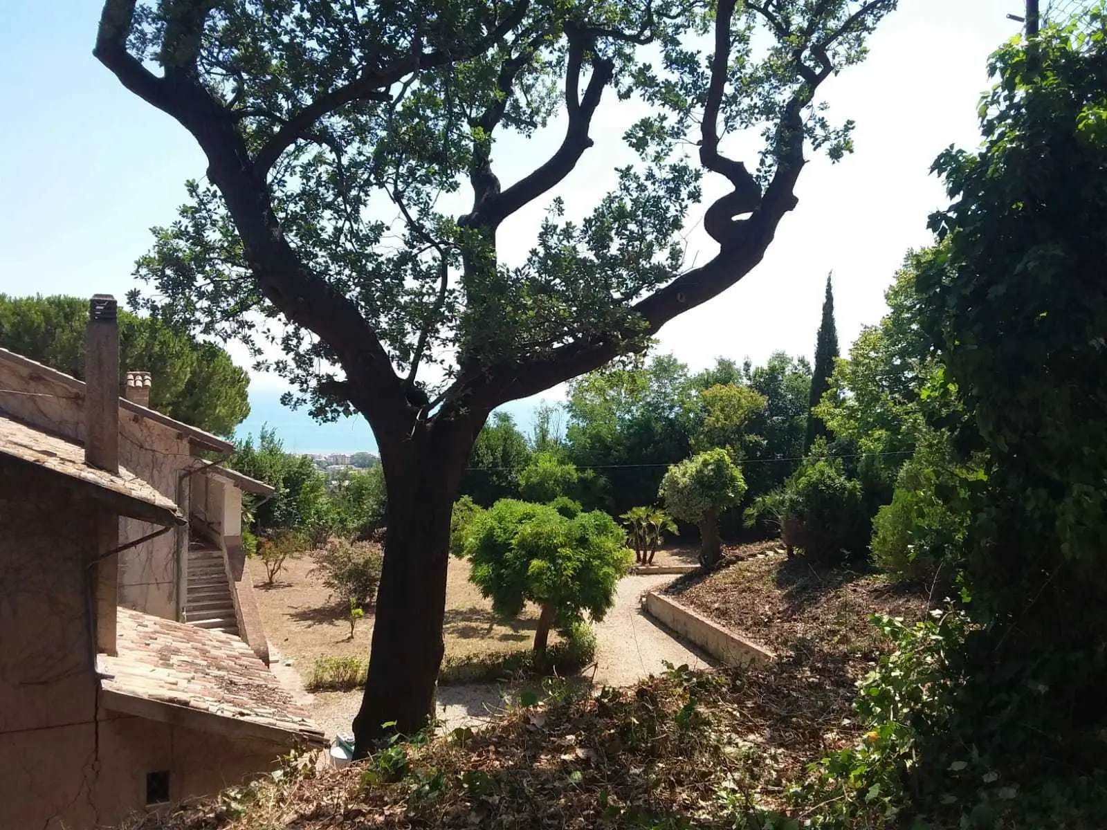 Immagine per Industriale in vendita a Tortoreto via Vascello
