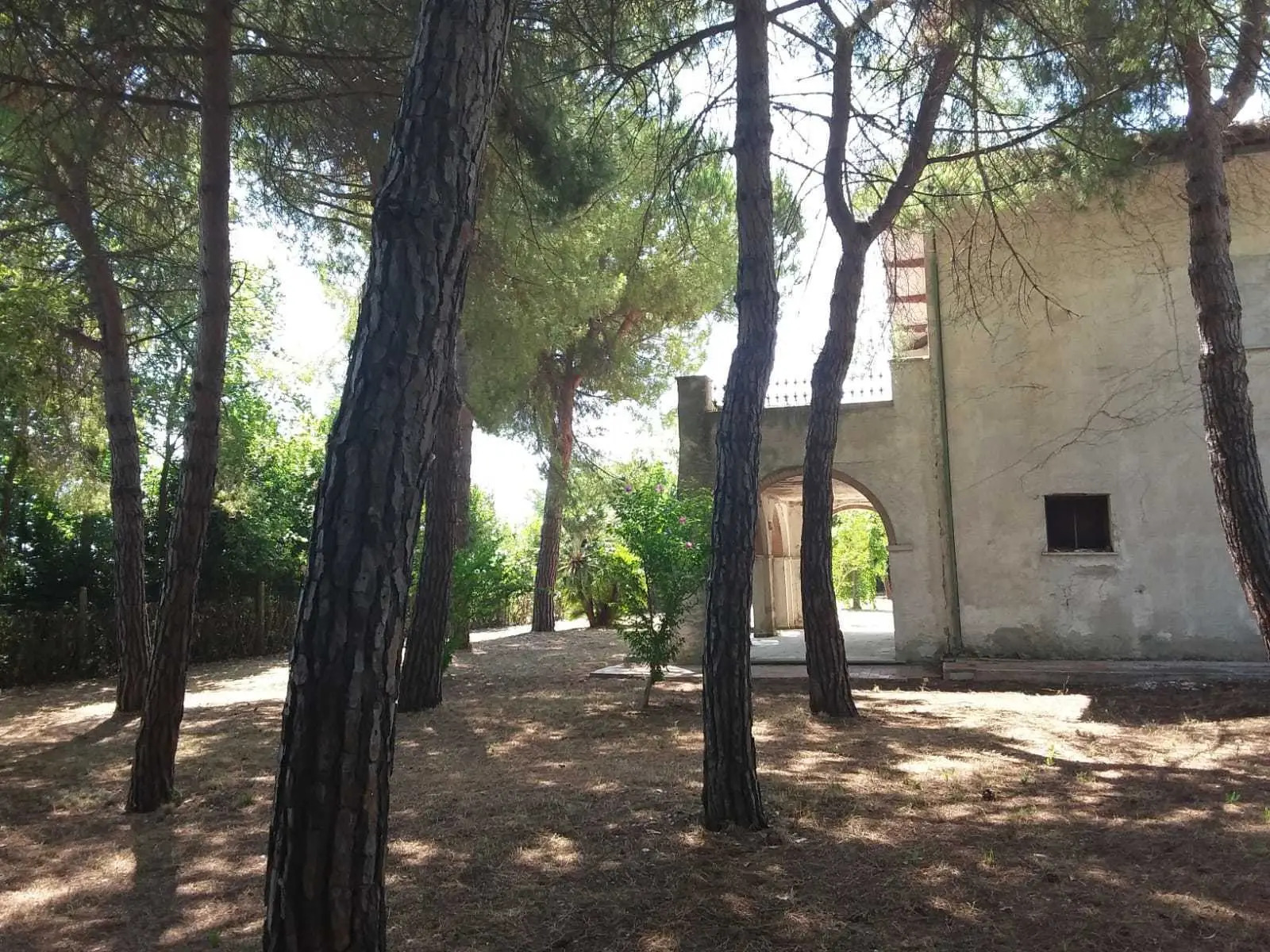 Immagine per Industriale in vendita a Tortoreto via Vascello
