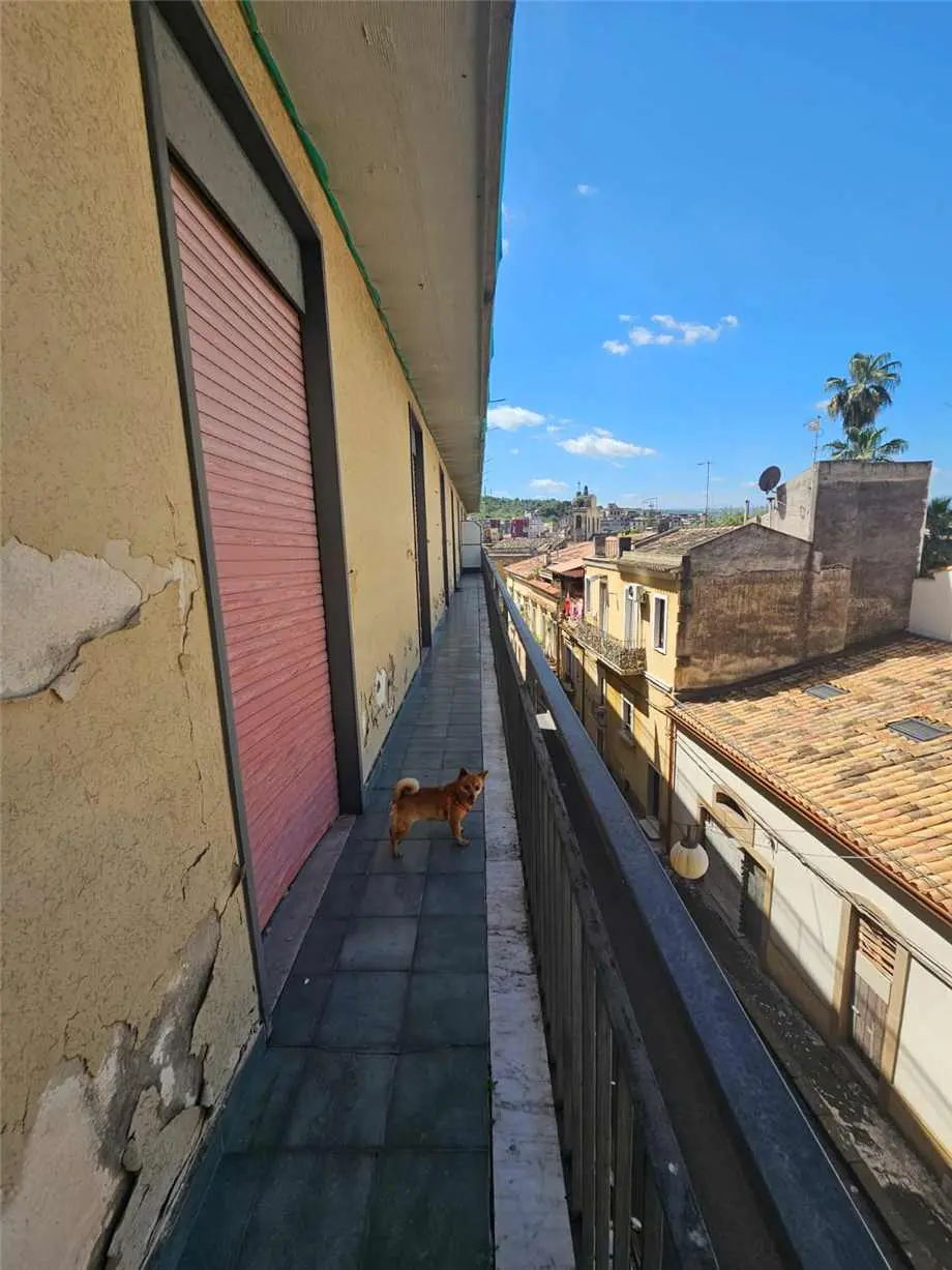 Immagine per Stabile - Palazzo in vendita a Lentini via Giuseppe Verdi