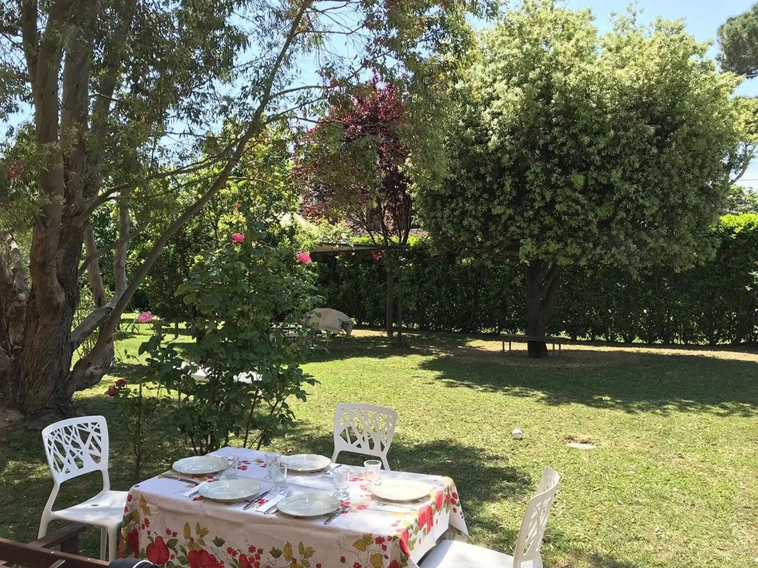 Immagine per Villa in vendita a Ravenna Zattoni 