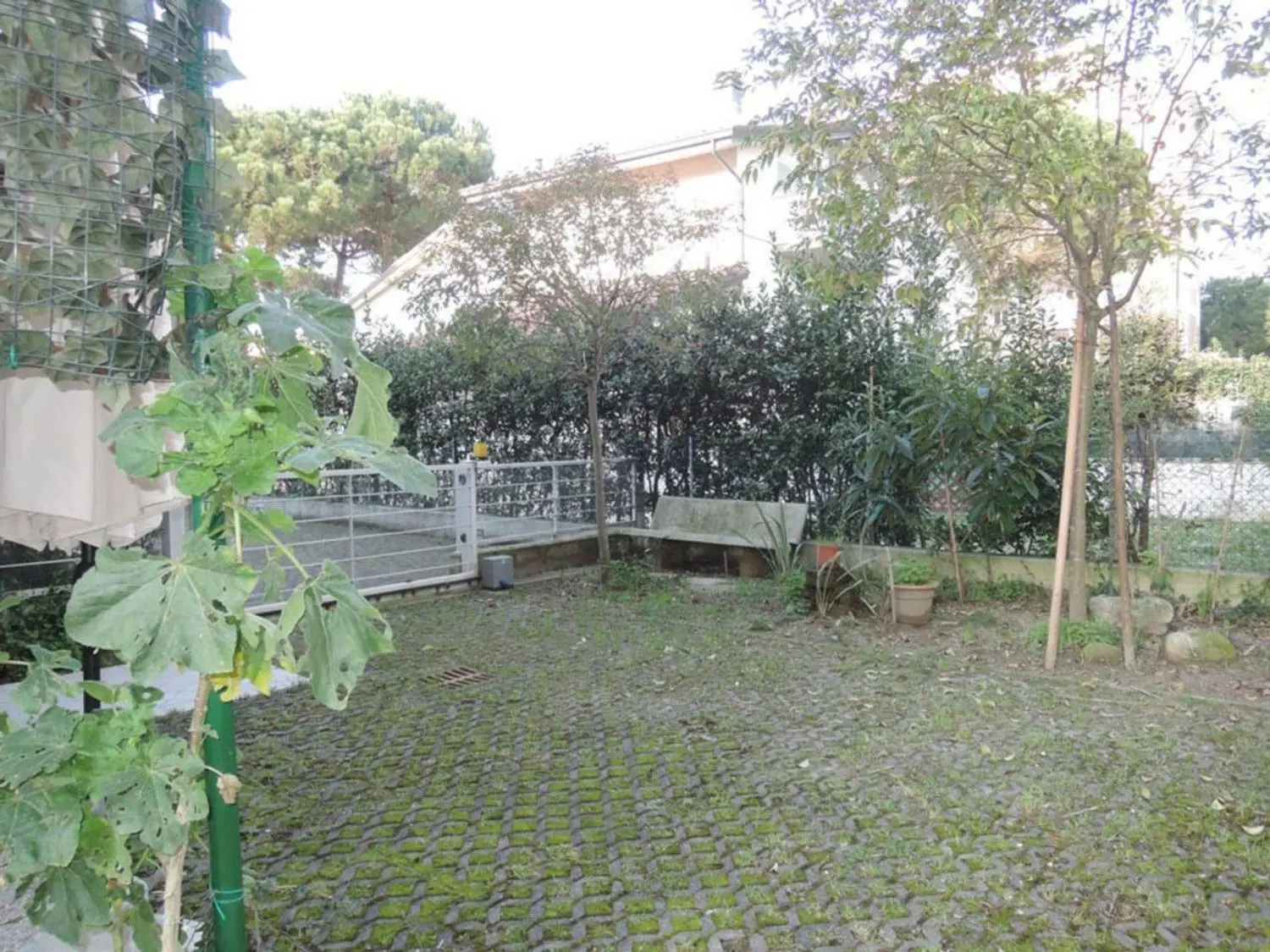 Immagine per Villetta a schiera in vendita a Cervia Arturo Toscanini 