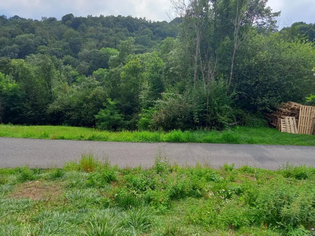 Immagine per Rustico - Casale in vendita a Lanzo Torinese REGIONE FUA Superiore 53