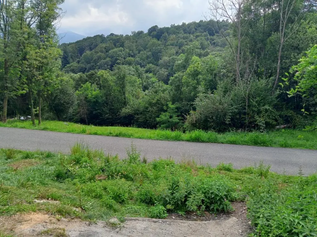 Immagine per Rustico - Casale in vendita a Lanzo Torinese REGIONE FUA Superiore 53