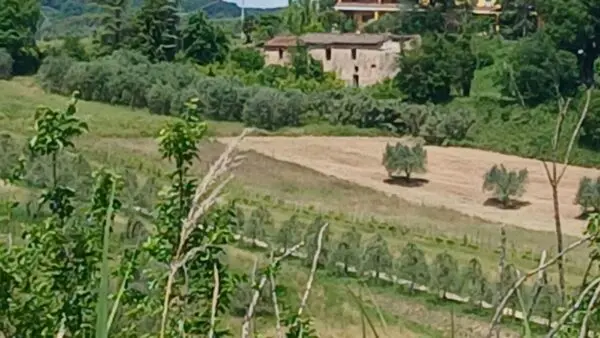 Terreno Edificabile Narni