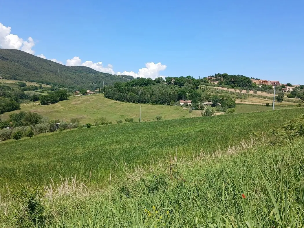 Immagine per Terreno Edificabile in vendita a Narni