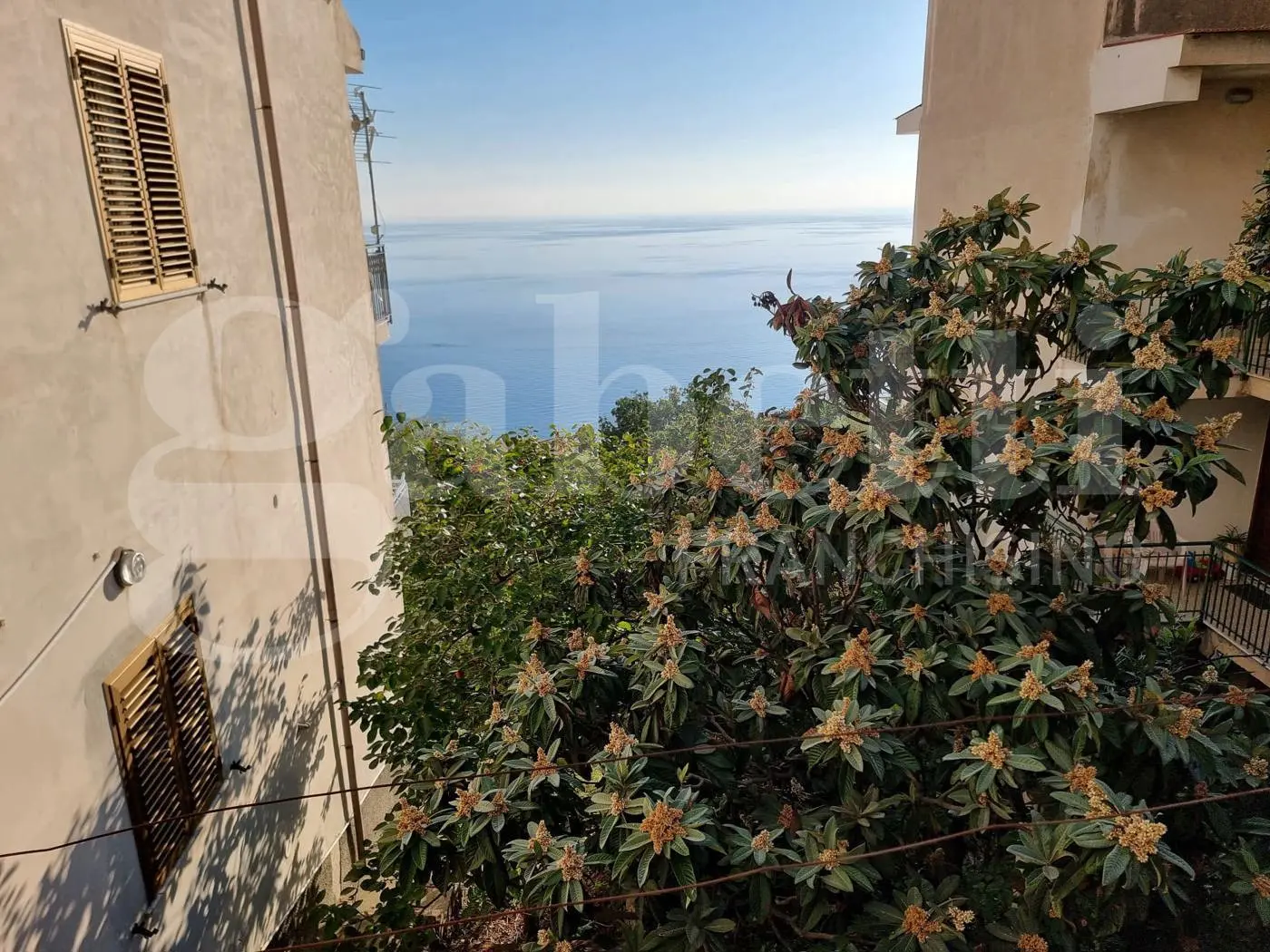 Immagine per Appartamento in vendita a Cetraro via Contrada Bosco