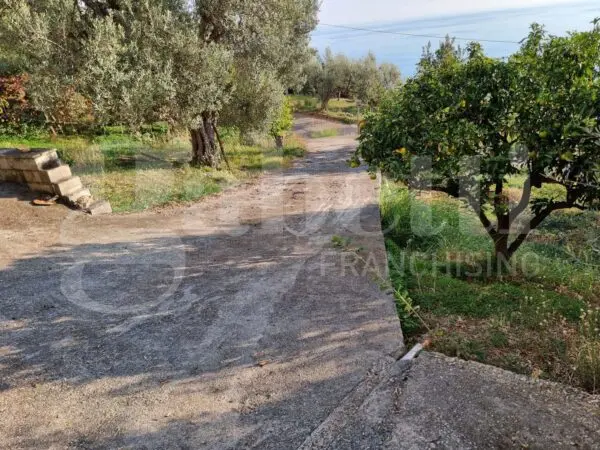 Appartamento via Contrada Bosco 0, Cetraro