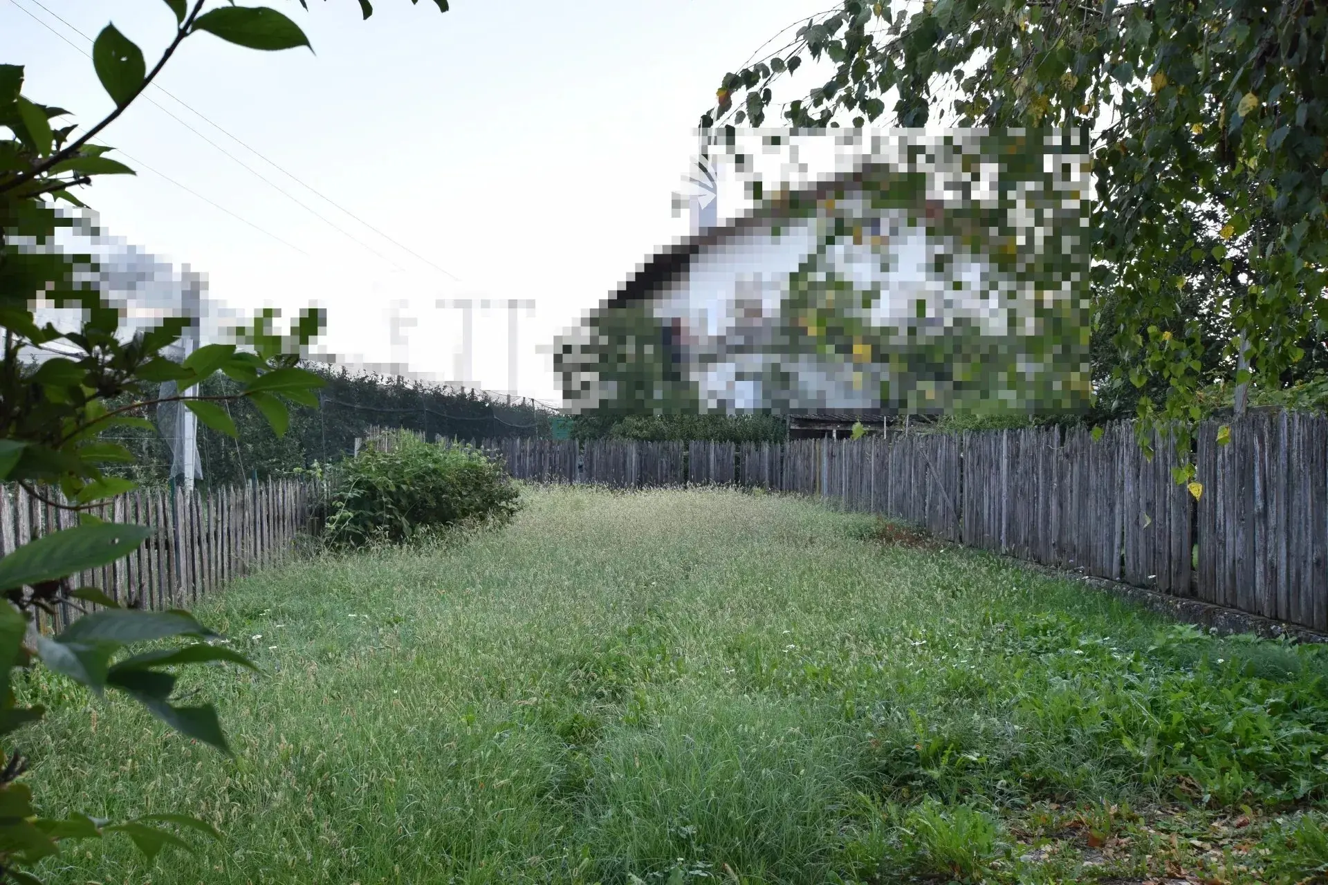 Immagine per Appartamento in vendita a Magrè sulla strada del vino