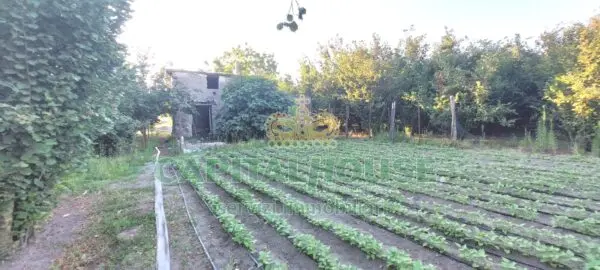 Rustico/Casale via, Massa Di Somma