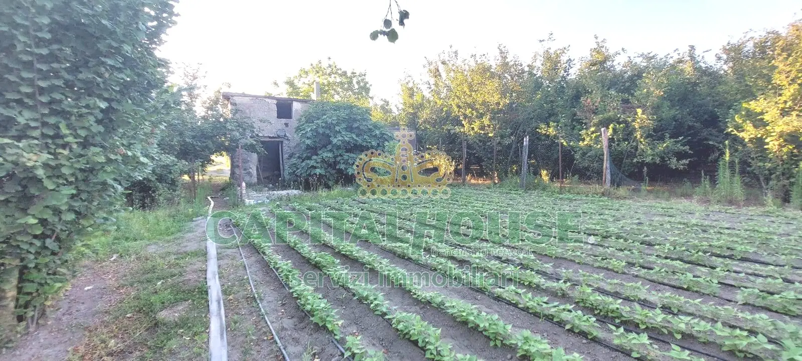 Immagine per Rustico/Casale in vendita a Massa di Somma  