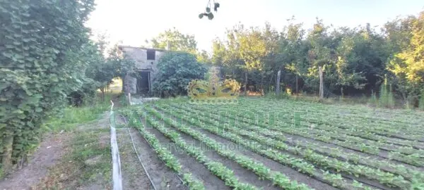 Rustico/Casale via, Massa Di Somma
