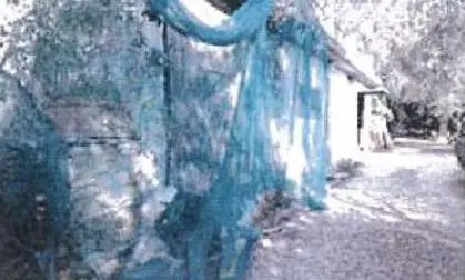 Villa via Don Orengo 11, Imperia