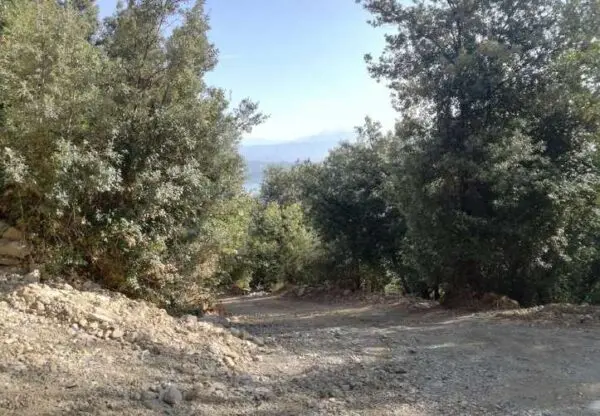 Terreno Agricolo via Frazione Monte Santa Croce Snc, La Spezia