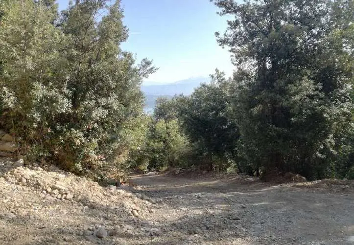 Immagine per Terreno agricolo in asta a La Spezia via Frazione Monte Santa Croce snc