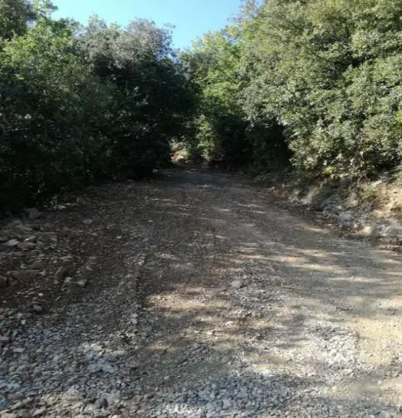 Terreno Agricolo via Frazione Monte Santa Croce Snc, La Spezia