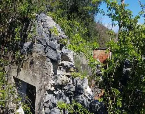 Terreno Agricolo via Frazione Monte Santa Croce Snc, La Spezia