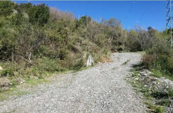 Terreno Agricolo via Frazione Monte Santa Croce Snc, La Spezia