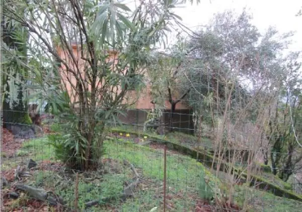 Appartamento via Roma 73, Zignago